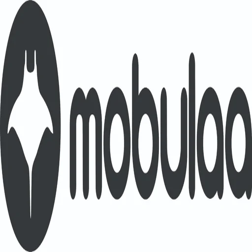 logo marca mobulaa jj mayoristas (1)